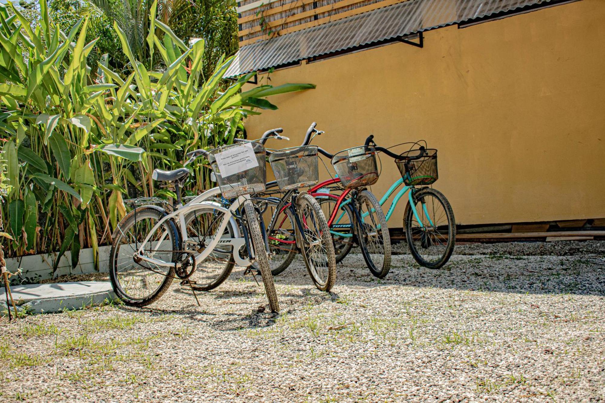 Habitat Surf Glamp Hotel Playa Santa Teresa  Exterior foto